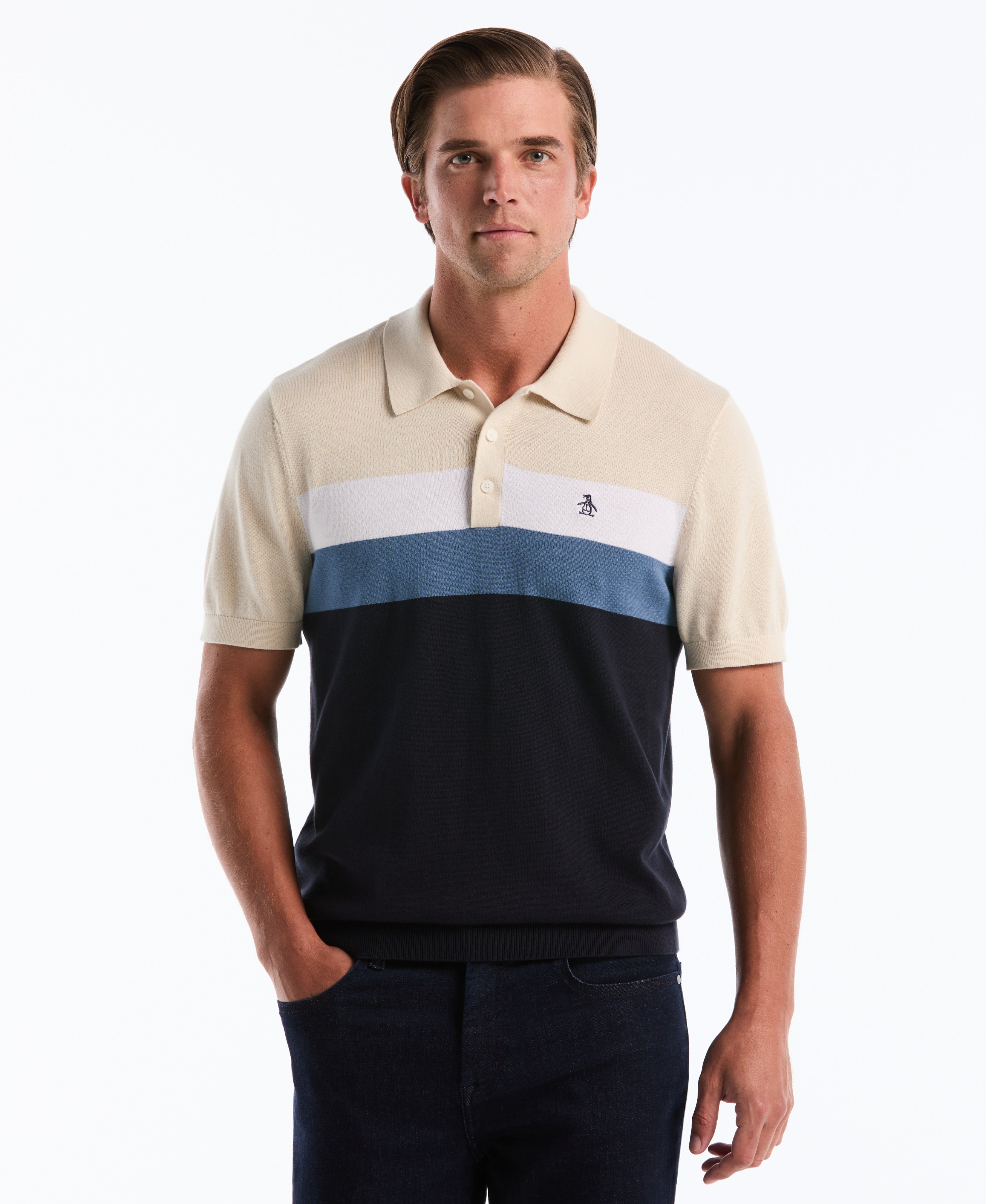 Chest Stripe Sweater Polo