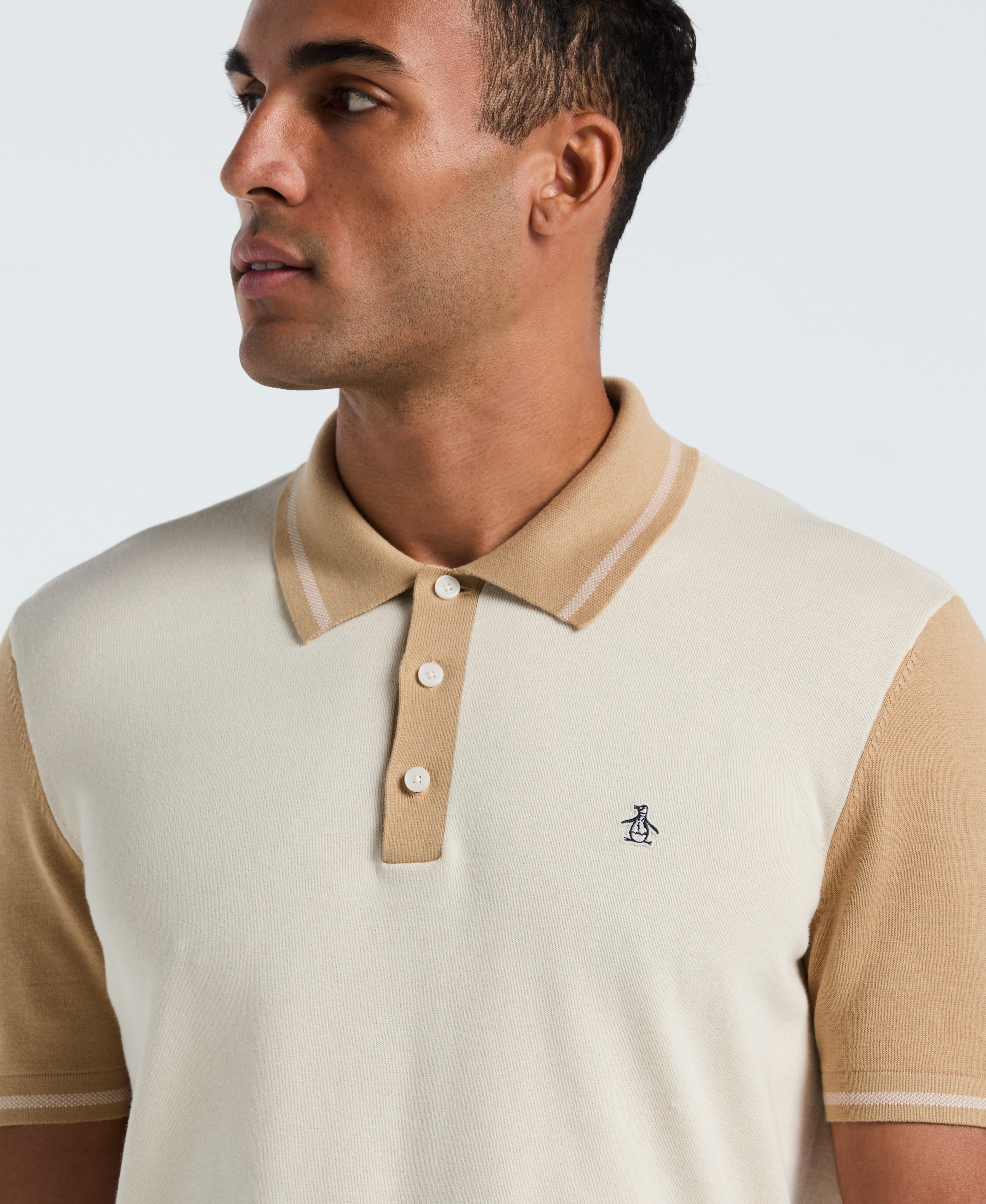 Cotton Colorblock Sweater Polo